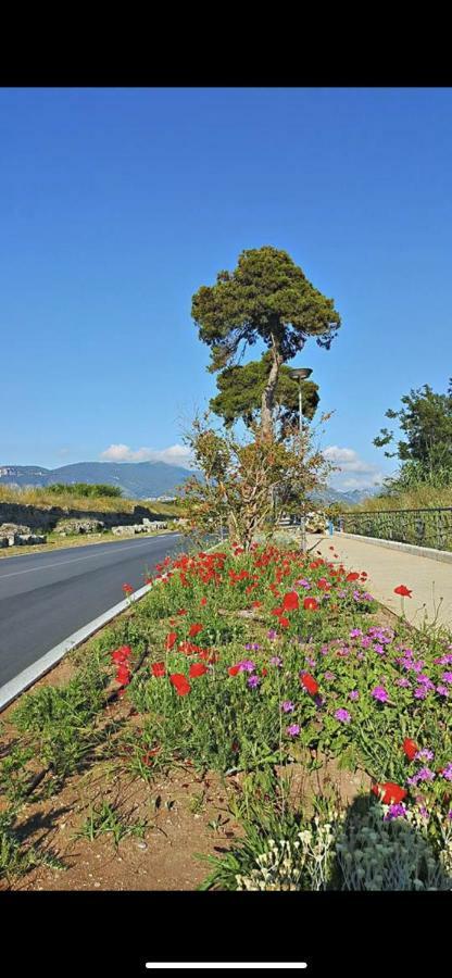 Villa Donatella Paestum Dış mekan fotoğraf